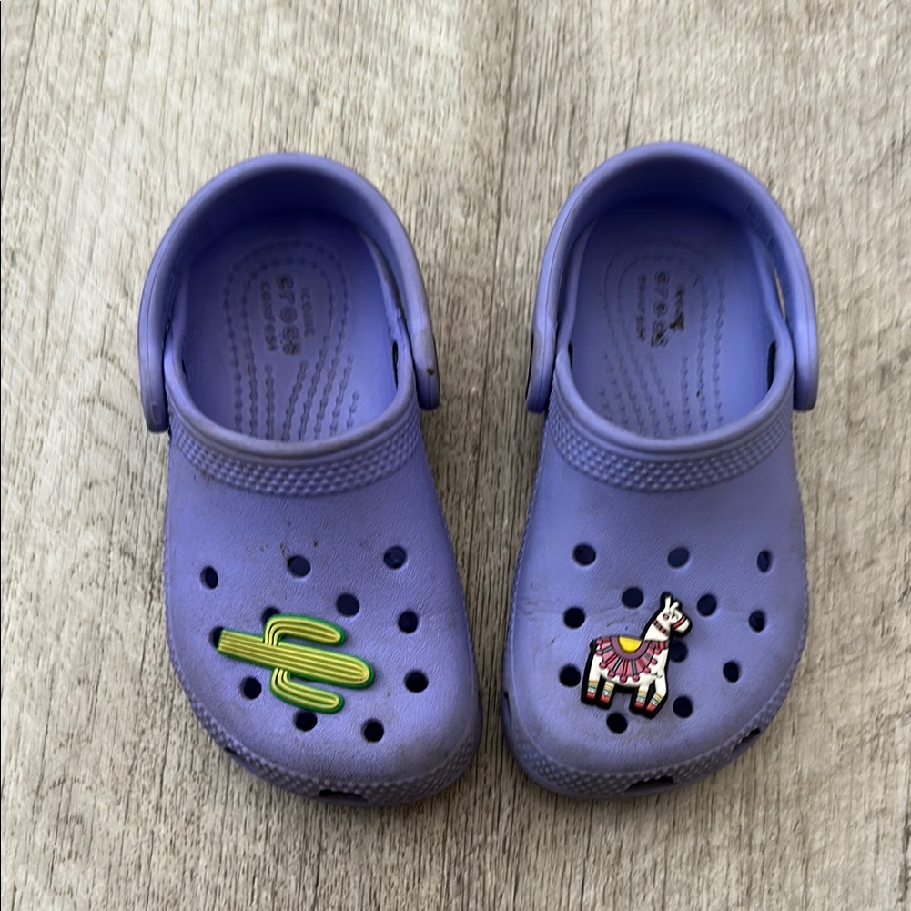 Crocs Purple Slip On Crocs